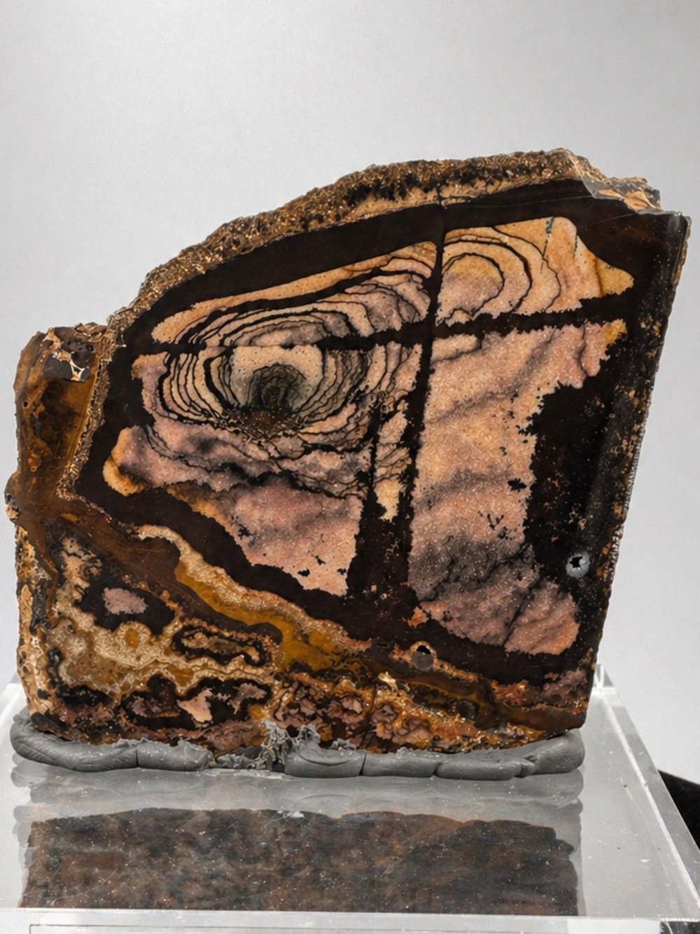 Andromeda Jasper Africa